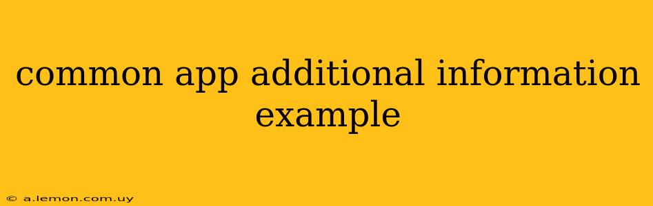 common app additional information example