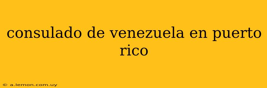 consulado de venezuela en puerto rico