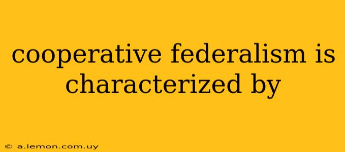 cooperative federalism is characterized by