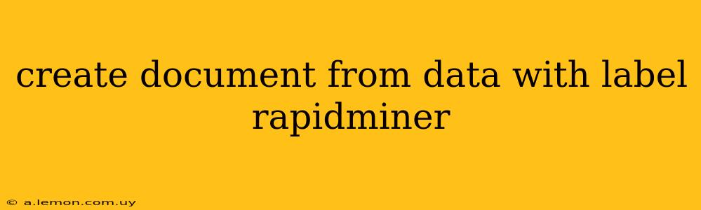 create document from data with label rapidminer