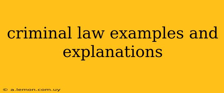 criminal law examples and explanations