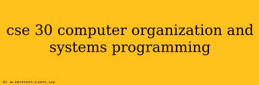 cse 30 computer organization and systems programming