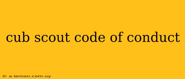 cub scout code of conduct