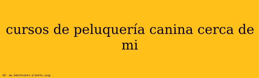 cursos de peluquería canina cerca de mi