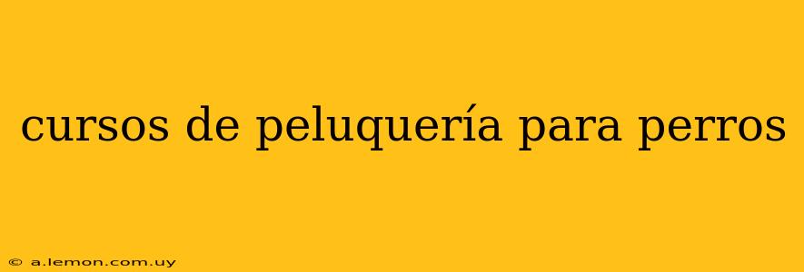 cursos de peluquería para perros