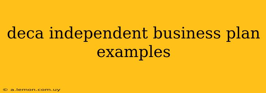 deca independent business plan examples