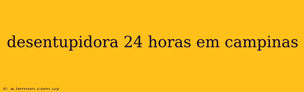 desentupidora 24 horas em campinas