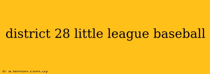 district 28 little league baseball