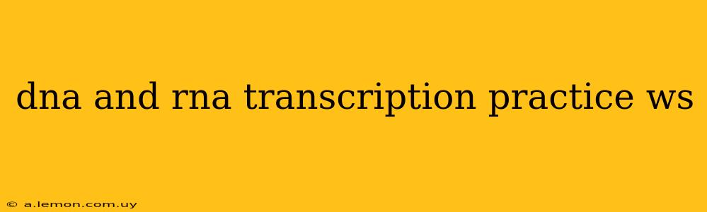 dna and rna transcription practice ws