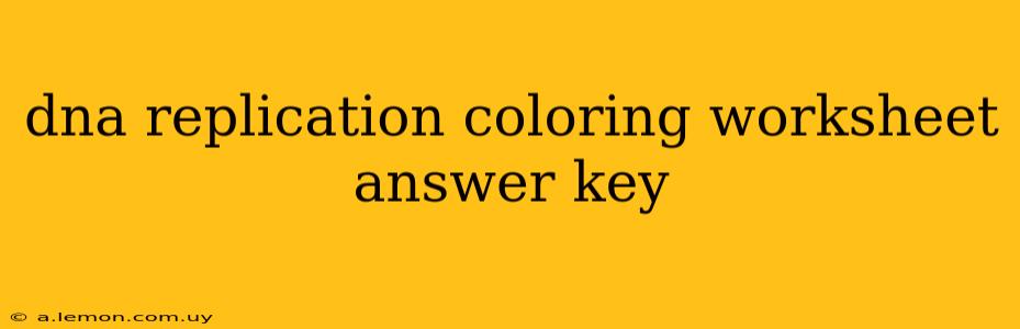 dna replication coloring worksheet answer key