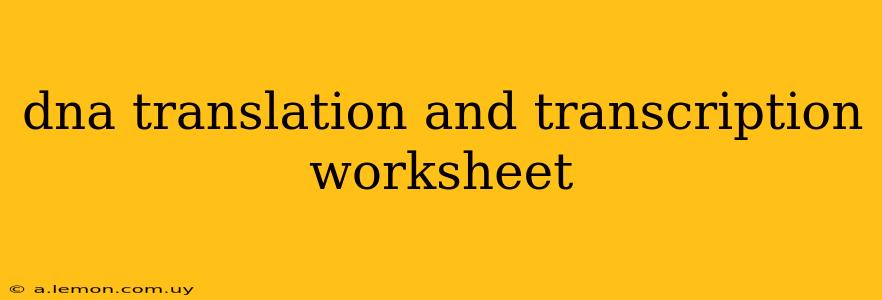 dna translation and transcription worksheet