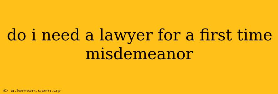 do i need a lawyer for a first time misdemeanor