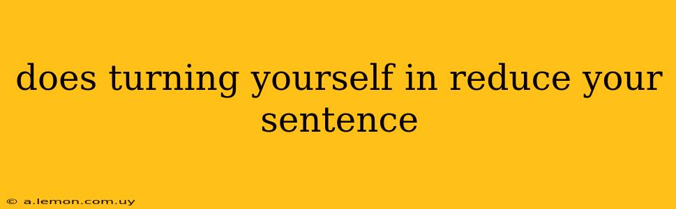 does turning yourself in reduce your sentence