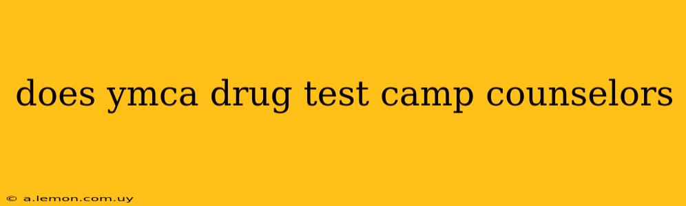 does ymca drug test camp counselors