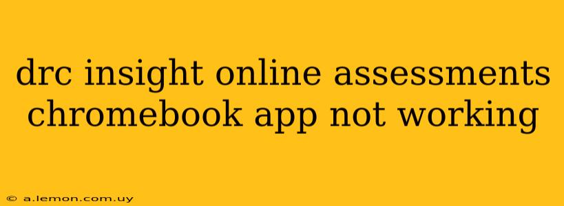 drc insight online assessments chromebook app not working