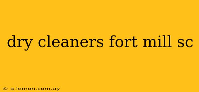 dry cleaners fort mill sc