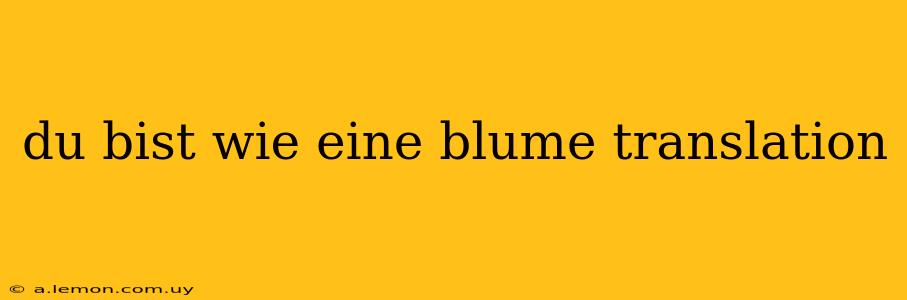 du bist wie eine blume translation