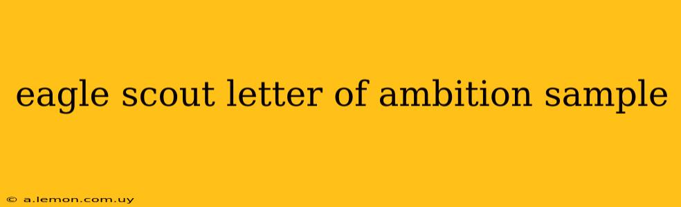 eagle scout letter of ambition sample