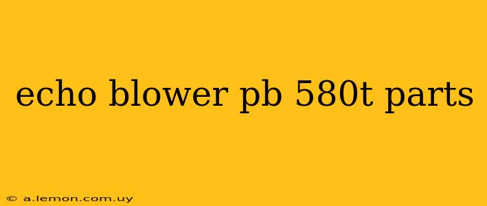 echo blower pb 580t parts