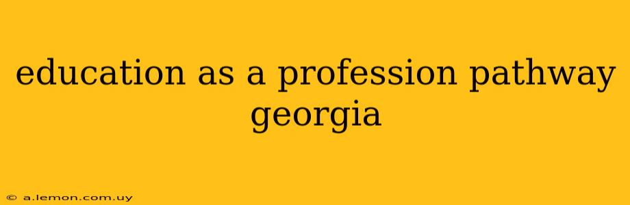 education as a profession pathway georgia