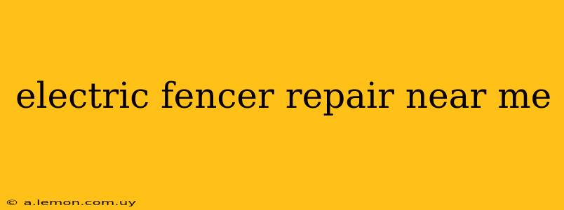 electric fencer repair near me