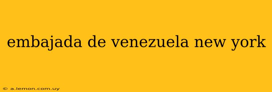 embajada de venezuela new york