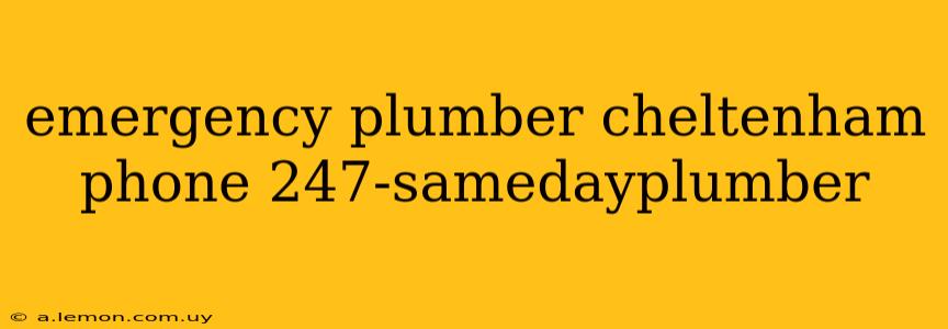 emergency plumber cheltenham phone 247-samedayplumber