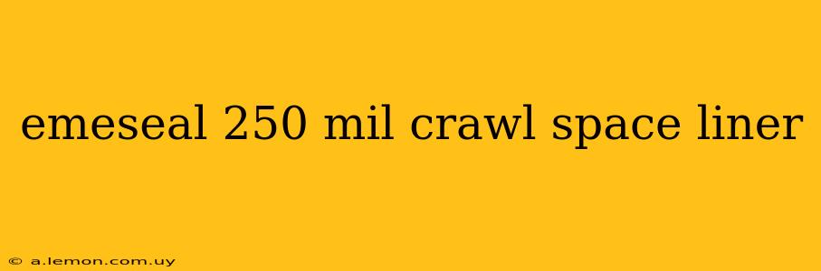 emeseal 250 mil crawl space liner