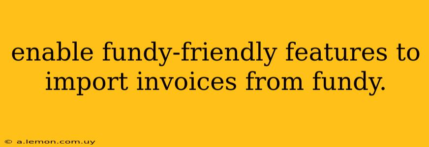 enable fundy-friendly features to import invoices from fundy.