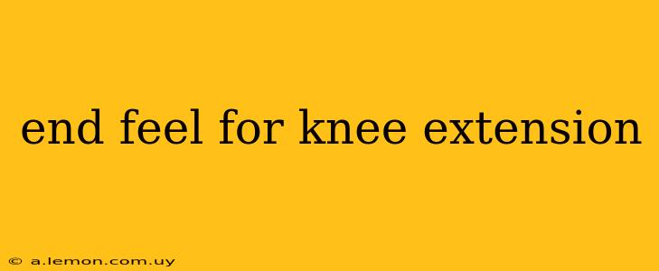 end feel for knee extension