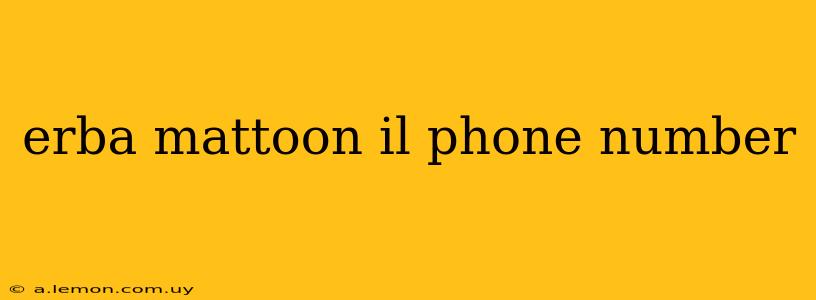 erba mattoon il phone number