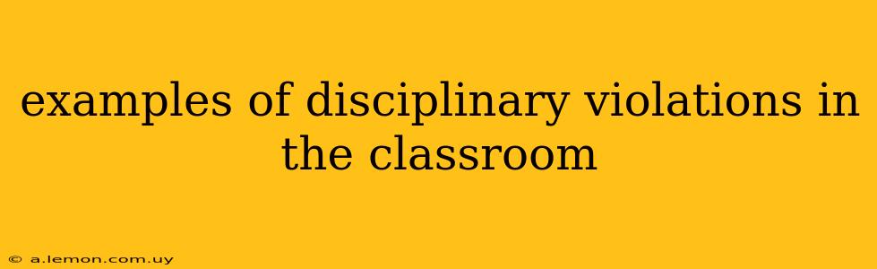 examples of disciplinary violations in the classroom