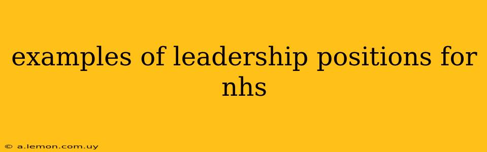 examples of leadership positions for nhs