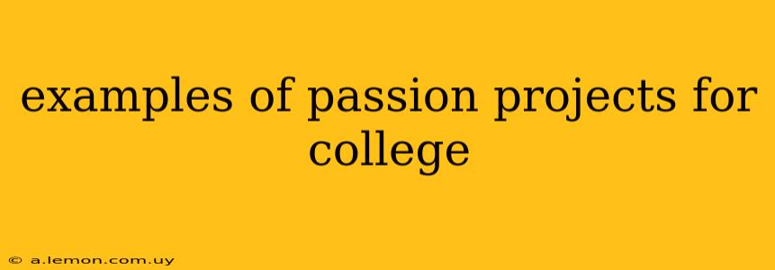 examples of passion projects for college