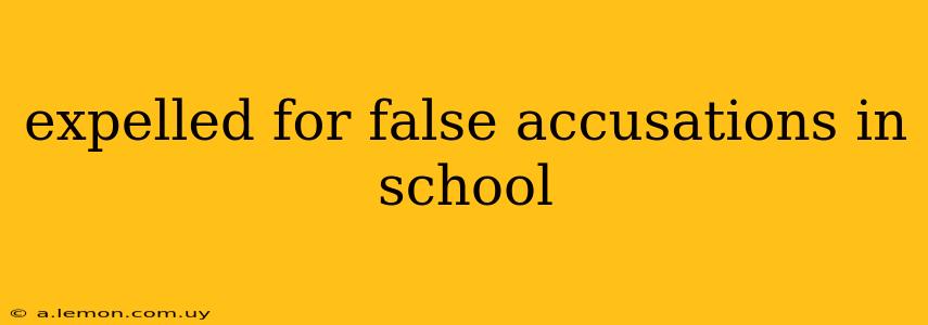 expelled for false accusations in school