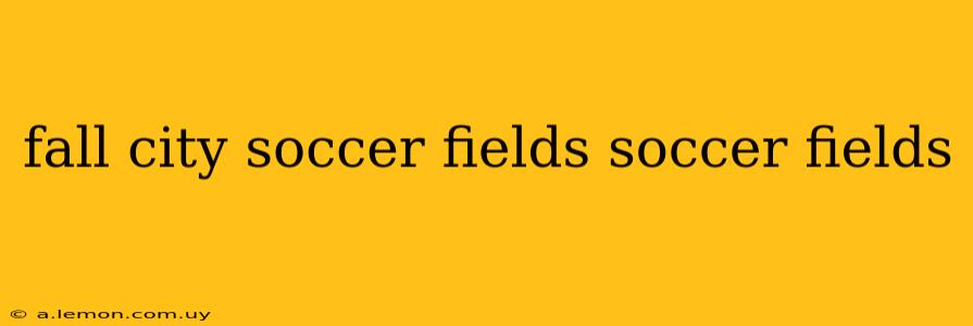 fall city soccer fields soccer fields