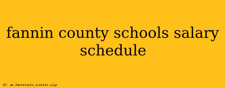 fannin county schools salary schedule