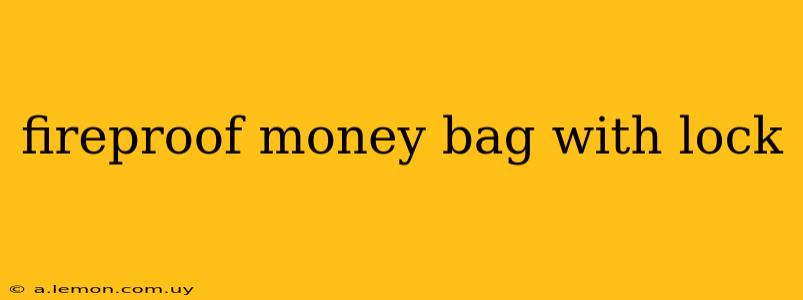 fireproof money bag with lock