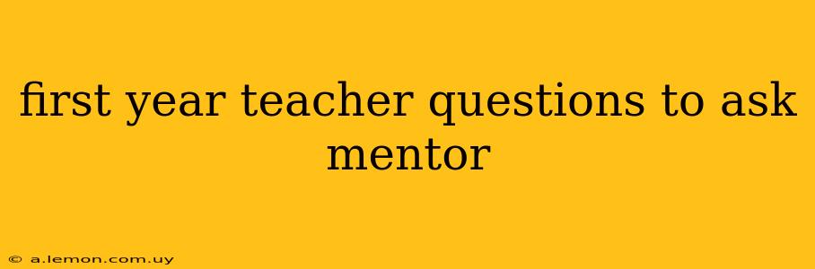 first year teacher questions to ask mentor