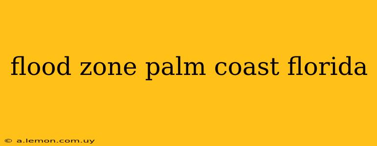 flood zone palm coast florida