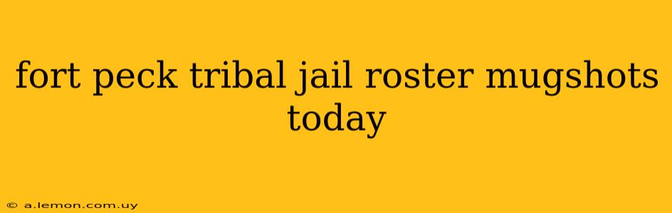 fort peck tribal jail roster mugshots today