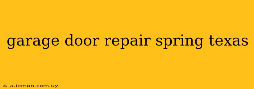 garage door repair spring texas