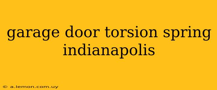 garage door torsion spring indianapolis