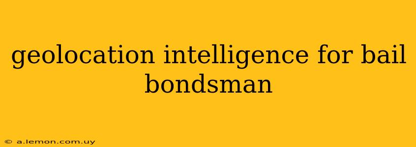 geolocation intelligence for bail bondsman