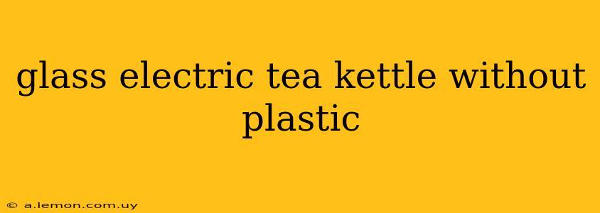 glass electric tea kettle without plastic