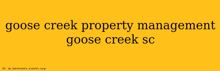 goose creek property management goose creek sc