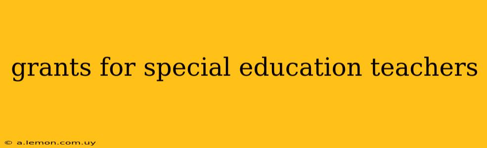 grants for special education teachers