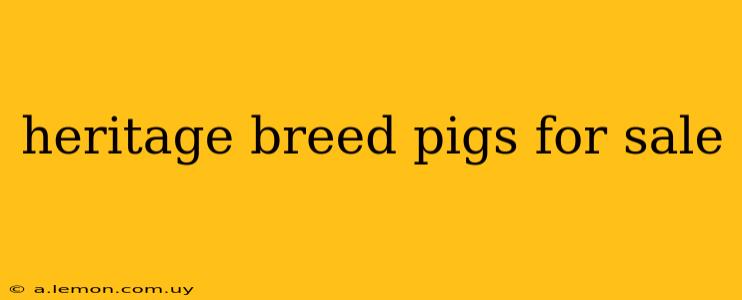 heritage breed pigs for sale