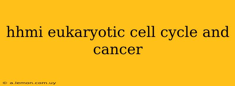 hhmi eukaryotic cell cycle and cancer