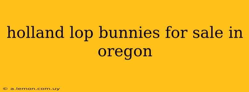 holland lop bunnies for sale in oregon